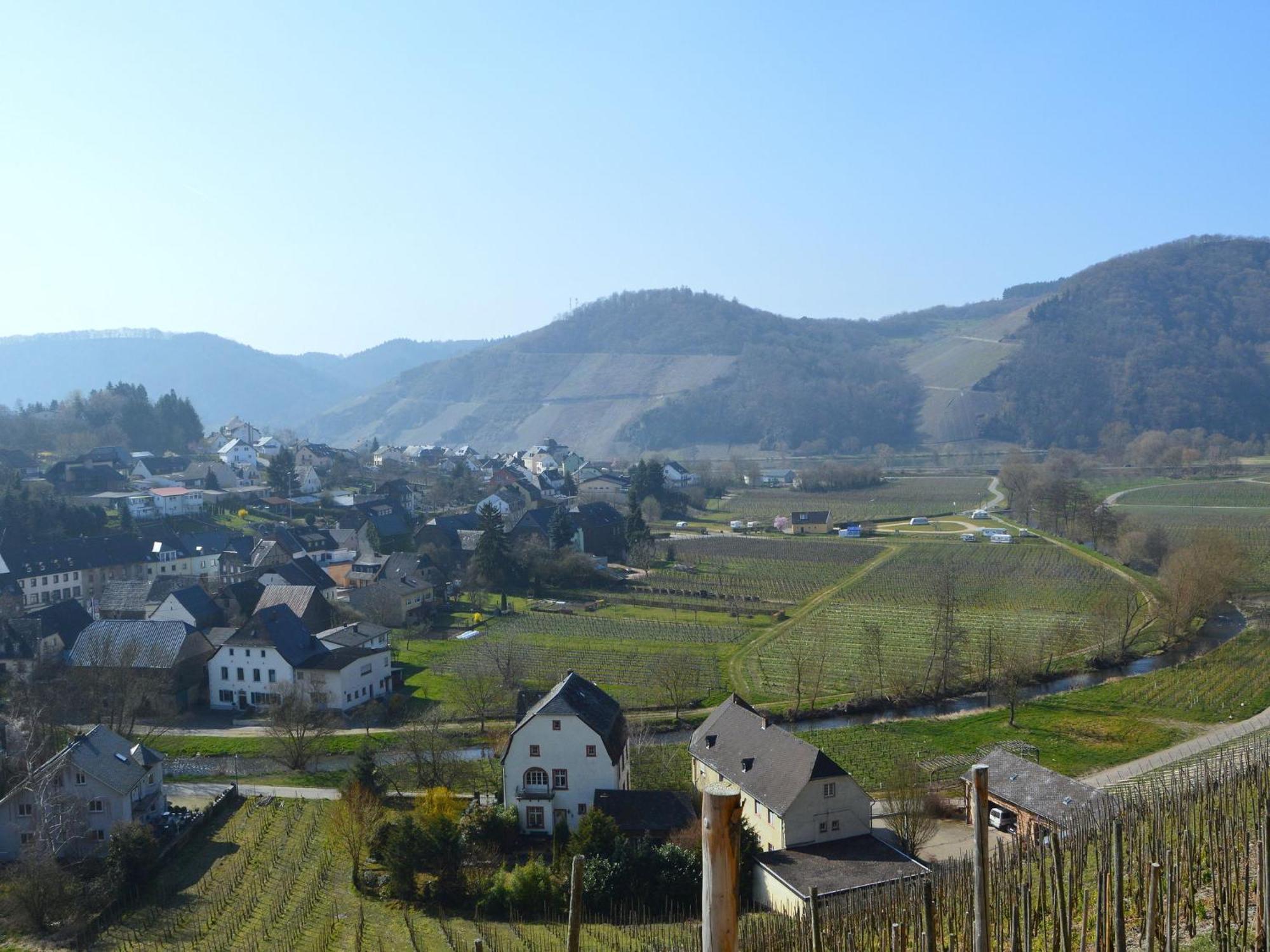 Holiday Home With Garden In Neumagen Dhron Zewnętrze zdjęcie